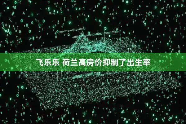 飞乐乐 荷兰高房价抑制了出生率