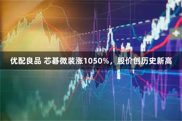 优配良品 芯碁微装涨1050%，股价创历史新高