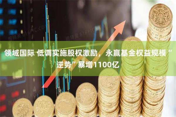 领域国际 低调实施股权激励，永赢基金权益规模“逆势”暴增1100亿